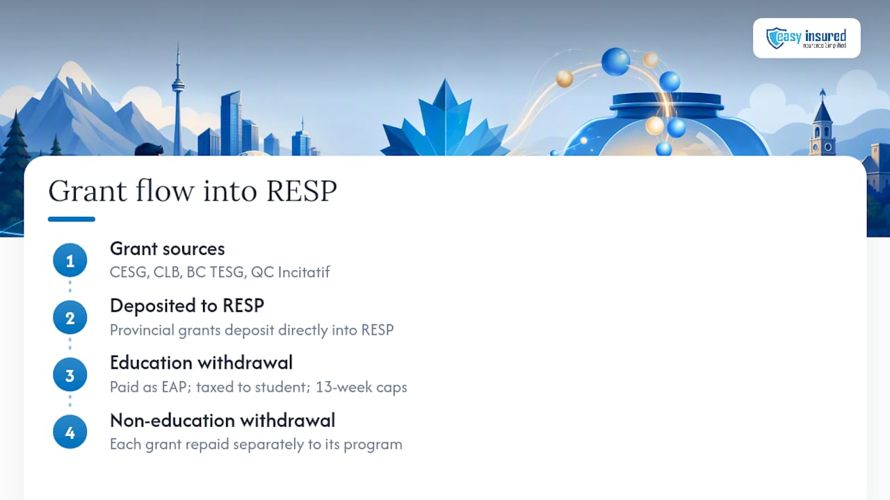 RESP federal and provincial grant repayment pathways